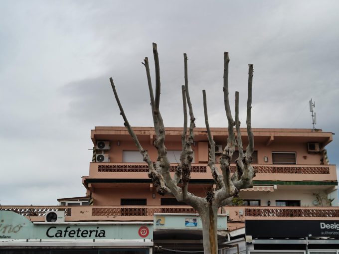 Wohnung im Zentrum und am Strand